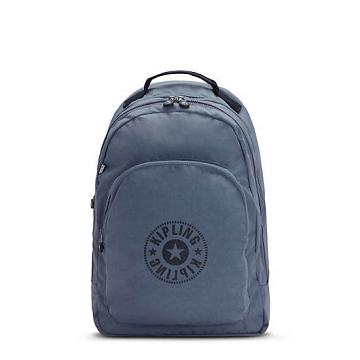 Bolsas Para Portatil Kipling Curtis Extra Large 17" Backpack Grises | MX 1631TC